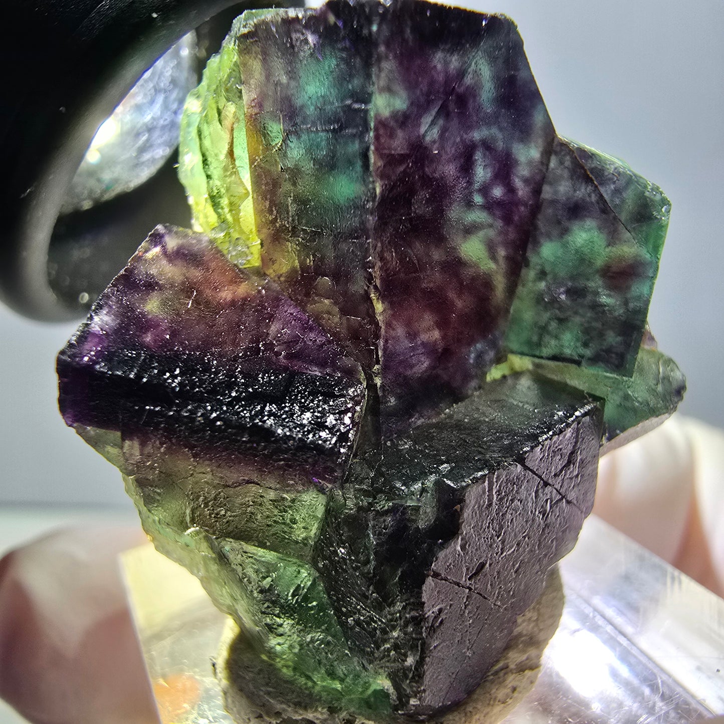Spécimen rare de cube de fluorite fantôme, vert-violet, Okorusu, Namibie, 36 x 33 x 18 mm 