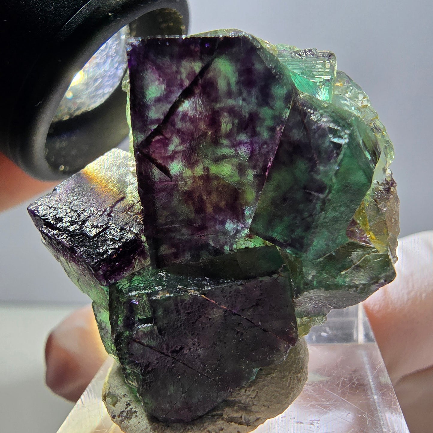 Spécimen rare de cube de fluorite fantôme, vert-violet, Okorusu, Namibie, 36 x 33 x 18 mm 