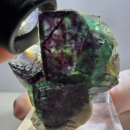 Spécimen rare de cube de fluorite fantôme, vert-violet, Okorusu, Namibie, 36 x 33 x 18 mm 