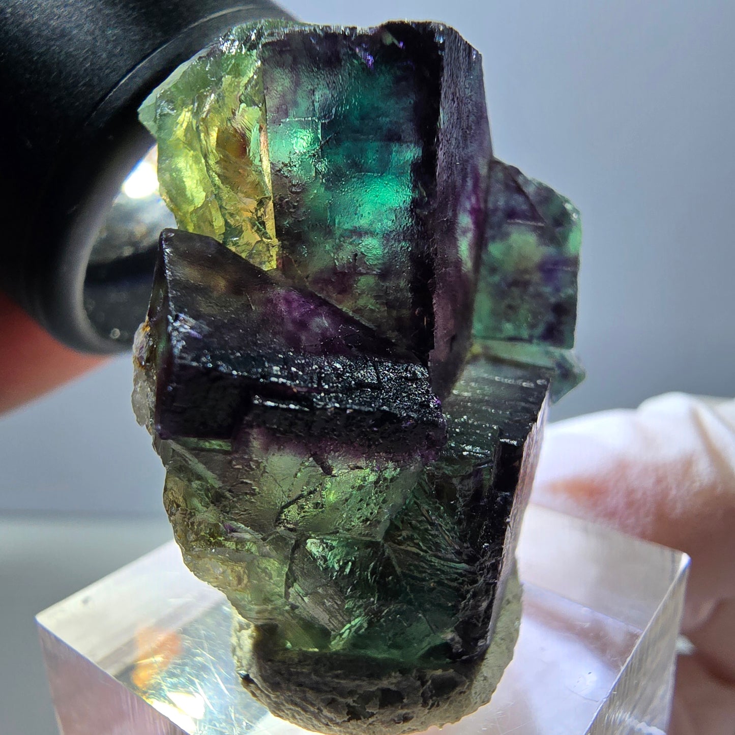 Spécimen rare de cube de fluorite fantôme, vert-violet, Okorusu, Namibie, 36 x 33 x 18 mm 