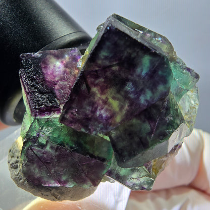 Spécimen rare de cube de fluorite fantôme, vert-violet, Okorusu, Namibie, 36 x 33 x 18 mm 