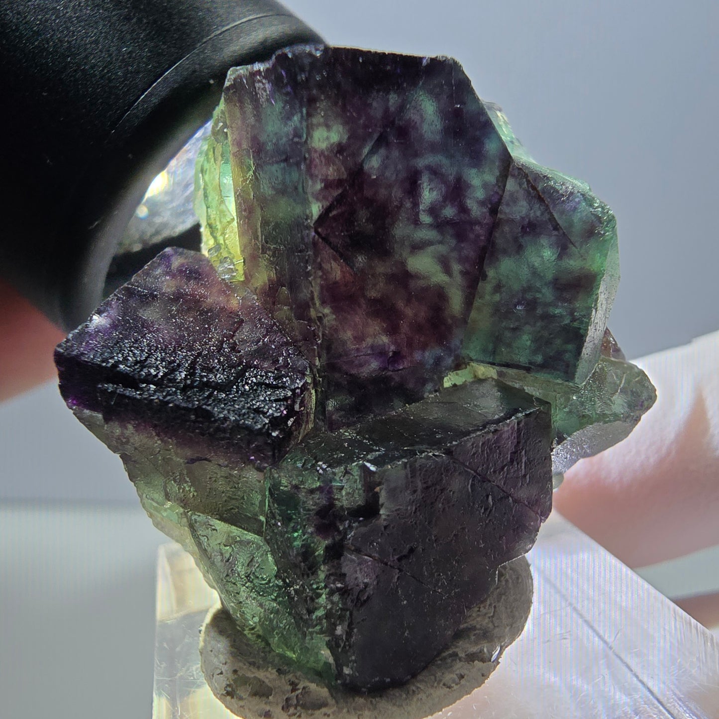 Spécimen rare de cube de fluorite fantôme, vert-violet, Okorusu, Namibie, 36 x 33 x 18 mm 