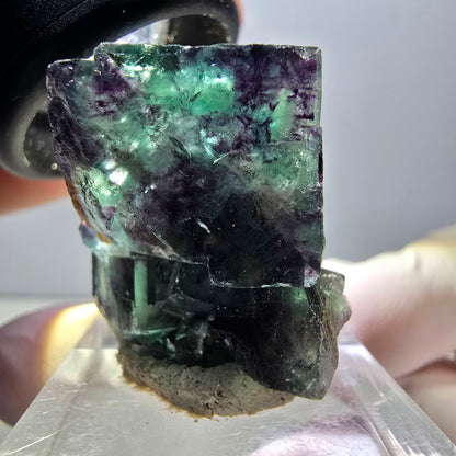Spécimen rare de cube de fluorite fantôme, vert-violet, Okorusu, Namibie, 27 x 25 x 19 mm 