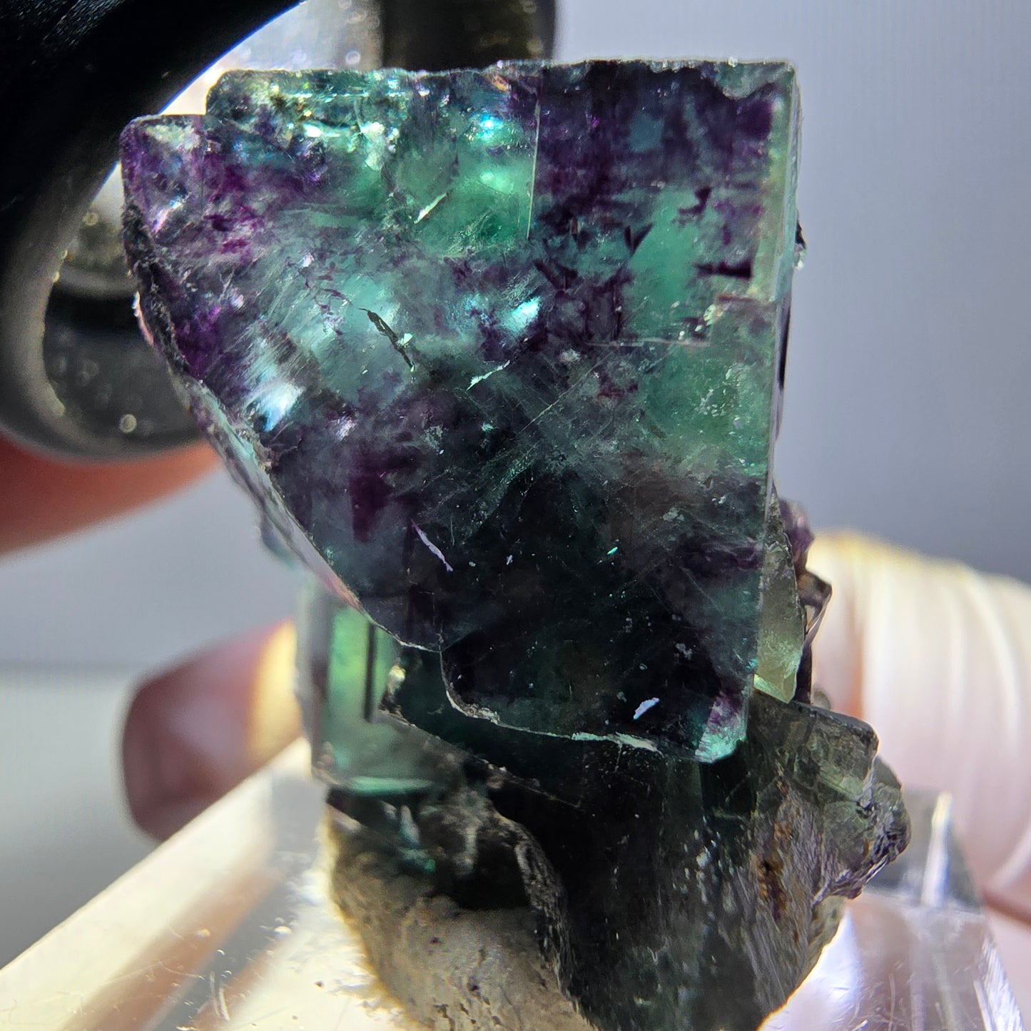 Spécimen rare de cube de fluorite fantôme, vert-violet, Okorusu, Namibie, 27 x 25 x 19 mm 