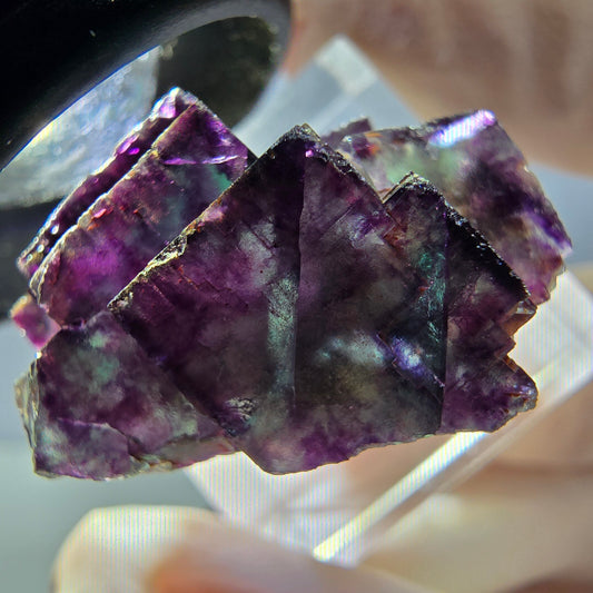 Spécimen rare de cube de fluorite fantôme, vert-violet, Okorusu, Namibie, 28 x 22 x 16 mm 