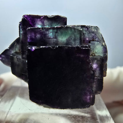 Spécimen rare de cube de fluorite fantôme, vert-violet, Okorusu, Namibie, 28 x 22 x 16 mm 