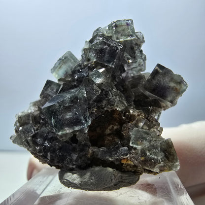 Rare spécimen de cube de fluorite fantôme, vert-violet, Okorusu, Namibie, 32 x 29 x 17 mm 