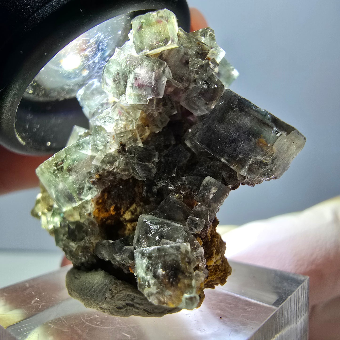 Rare spécimen de cube de fluorite fantôme, vert-violet, Okorusu, Namibie, 32 x 29 x 17 mm 