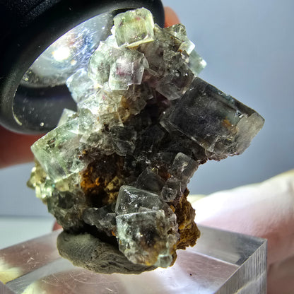 Rare spécimen de cube de fluorite fantôme, vert-violet, Okorusu, Namibie, 32 x 29 x 17 mm 