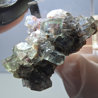 Rare spécimen de cube de fluorite fantôme, vert-violet, Okorusu, Namibie, 32 x 29 x 17 mm 