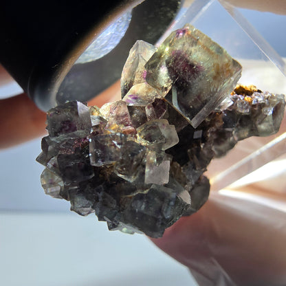 Rare spécimen de cube de fluorite fantôme, vert-violet, Okorusu, Namibie, 32 x 29 x 17 mm 