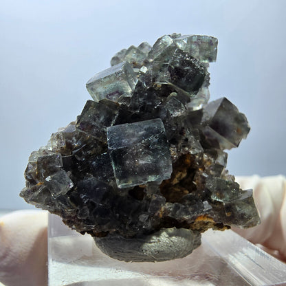 Rare spécimen de cube de fluorite fantôme, vert-violet, Okorusu, Namibie, 32 x 29 x 17 mm 