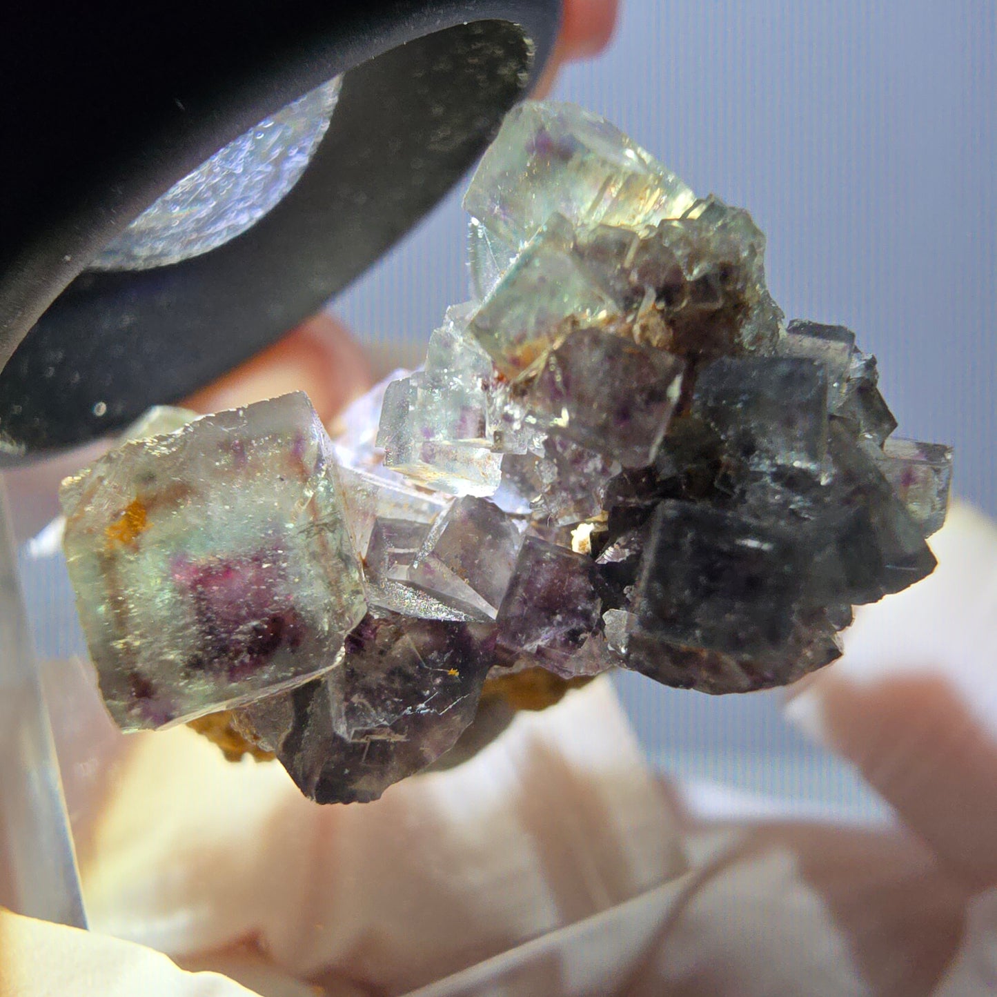 Rare spécimen de cube de fluorite fantôme, vert-violet, Okorusu, Namibie, 32 x 29 x 17 mm 