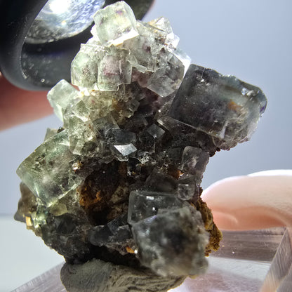 Rare spécimen de cube de fluorite fantôme, vert-violet, Okorusu, Namibie, 32 x 29 x 17 mm 