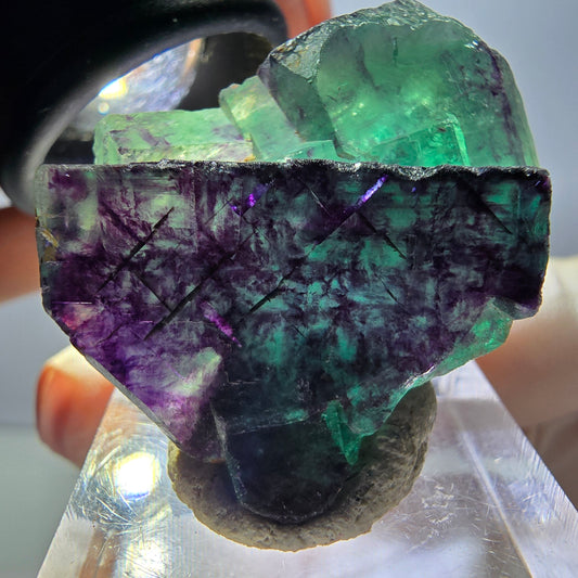 Rare spécimen de cube de fluorite fantôme, vert-violet, Okorusu, Namibie, 36 x 26 x 16 mm 