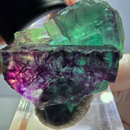 Rare spécimen de cube de fluorite fantôme, vert-violet, Okorusu, Namibie, 36 x 26 x 16 mm 