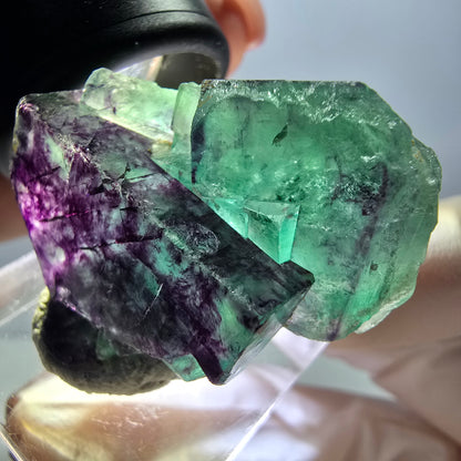 Rare spécimen de cube de fluorite fantôme, vert-violet, Okorusu, Namibie, 36 x 26 x 16 mm 