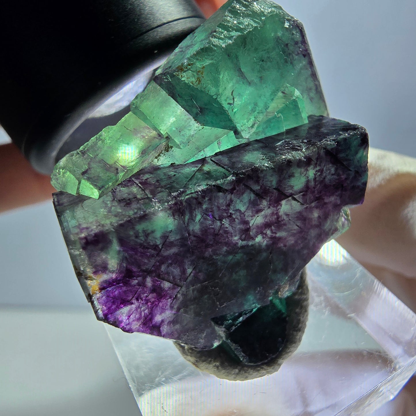 Rare spécimen de cube de fluorite fantôme, vert-violet, Okorusu, Namibie, 36 x 26 x 16 mm 