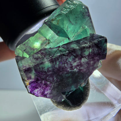 Rare spécimen de cube de fluorite fantôme, vert-violet, Okorusu, Namibie, 36 x 26 x 16 mm 