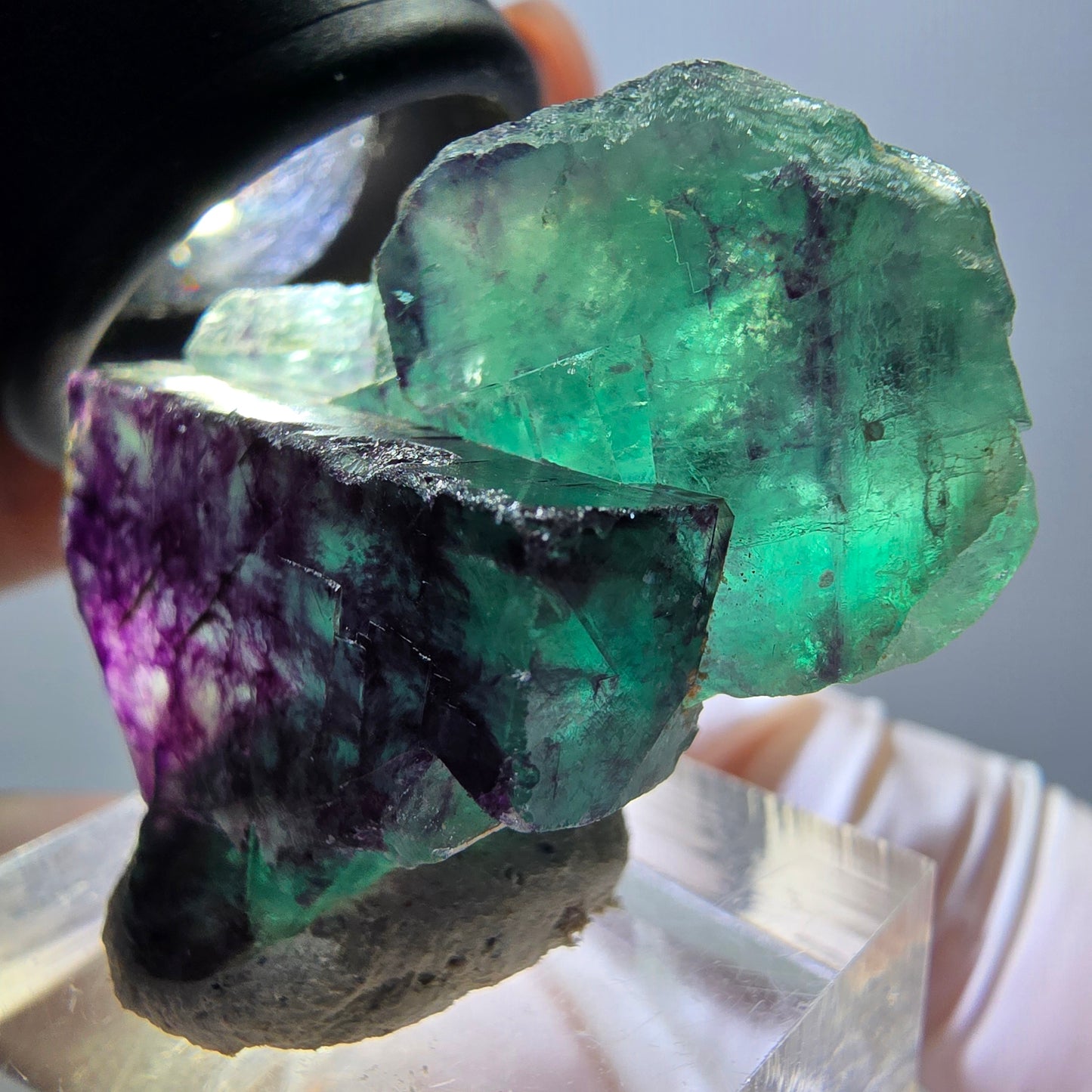 Rare spécimen de cube de fluorite fantôme, vert-violet, Okorusu, Namibie, 36 x 26 x 16 mm 