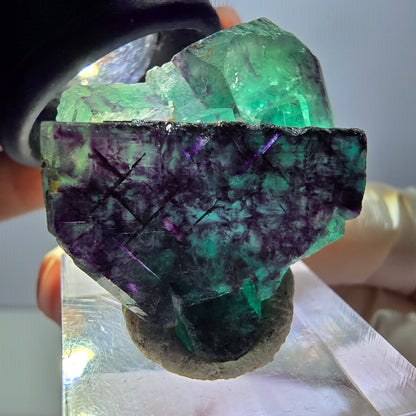 Rare spécimen de cube de fluorite fantôme, vert-violet, Okorusu, Namibie, 36 x 26 x 16 mm 