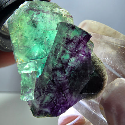 Rare spécimen de cube de fluorite fantôme, vert-violet, Okorusu, Namibie, 36 x 26 x 16 mm 