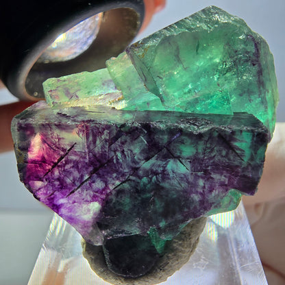 Rare spécimen de cube de fluorite fantôme, vert-violet, Okorusu, Namibie, 36 x 26 x 16 mm 