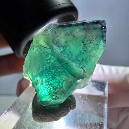 Spécimen rare de cube de fluorite fantôme, vert-violet, Okorusu, Namibie, 29 x 20 x 16 mm 