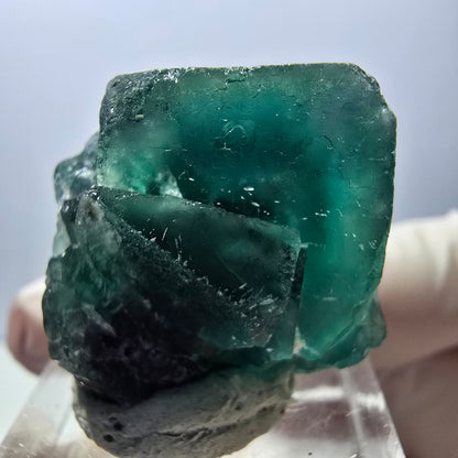 Spécimen rare de cube de fluorite fantôme, vert-violet, Okorusu, Namibie, 27 x 25 x 17 mm 