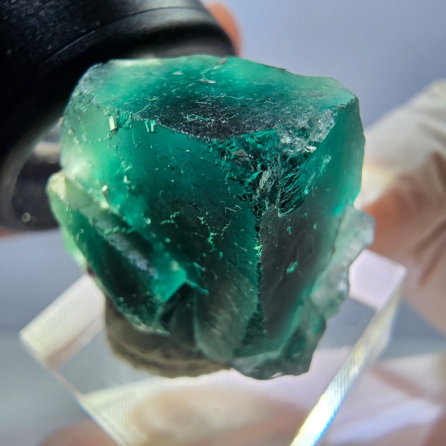 Spécimen rare de cube de fluorite fantôme, vert-violet, Okorusu, Namibie, 27 x 25 x 17 mm 