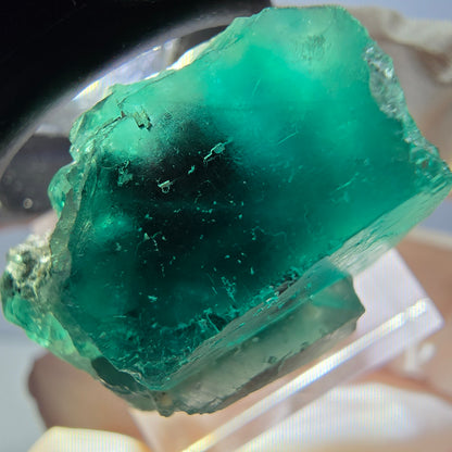 Spécimen rare de cube de fluorite fantôme, vert-violet, Okorusu, Namibie, 27 x 25 x 17 mm 