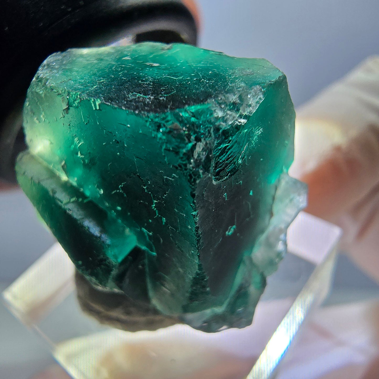 Spécimen rare de cube de fluorite fantôme, vert-violet, Okorusu, Namibie, 27 x 25 x 17 mm 