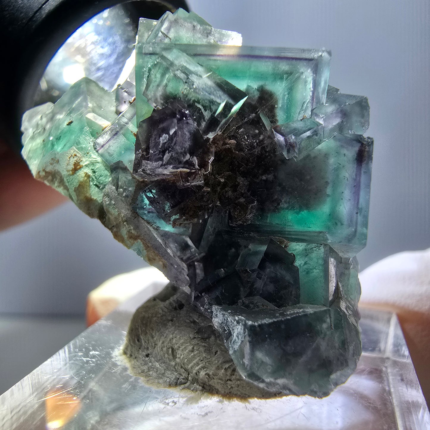 Spécimen rare de cube de fluorite fantôme, vert-violet, Okorusu, Namibie, 37 x 22 x 21 mm 