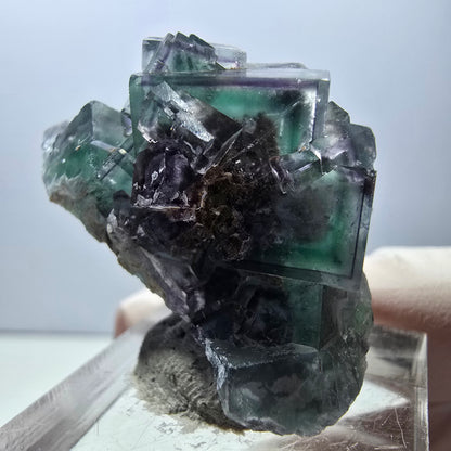 Spécimen rare de cube de fluorite fantôme, vert-violet, Okorusu, Namibie, 37 x 22 x 21 mm 