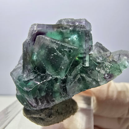 Spécimen rare de cube de fluorite fantôme, vert-violet, Okorusu, Namibie, 37 x 22 x 21 mm 