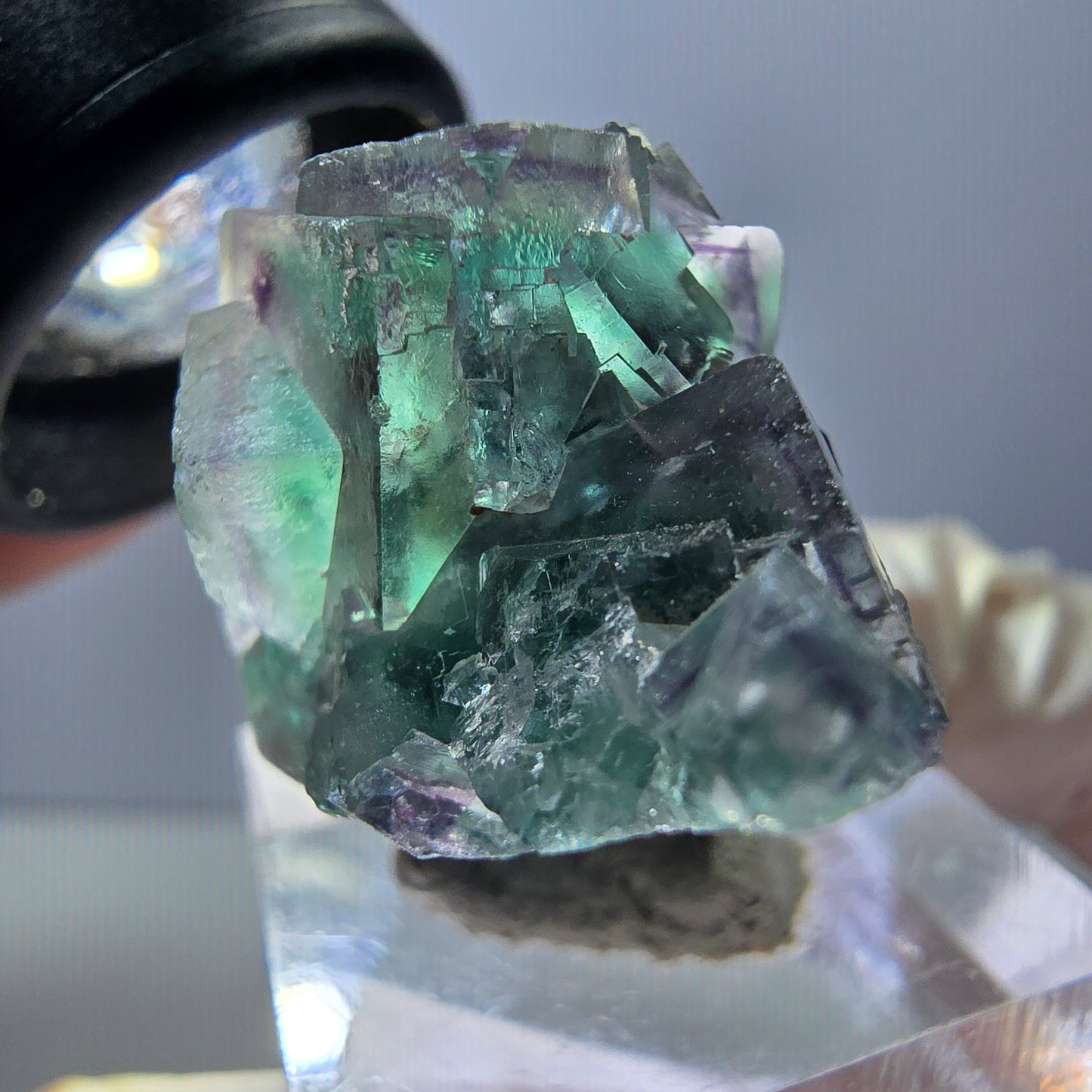 Spécimen rare de cube de fluorite fantôme, vert-violet, Okorusu, Namibie, 37 x 22 x 21 mm 
