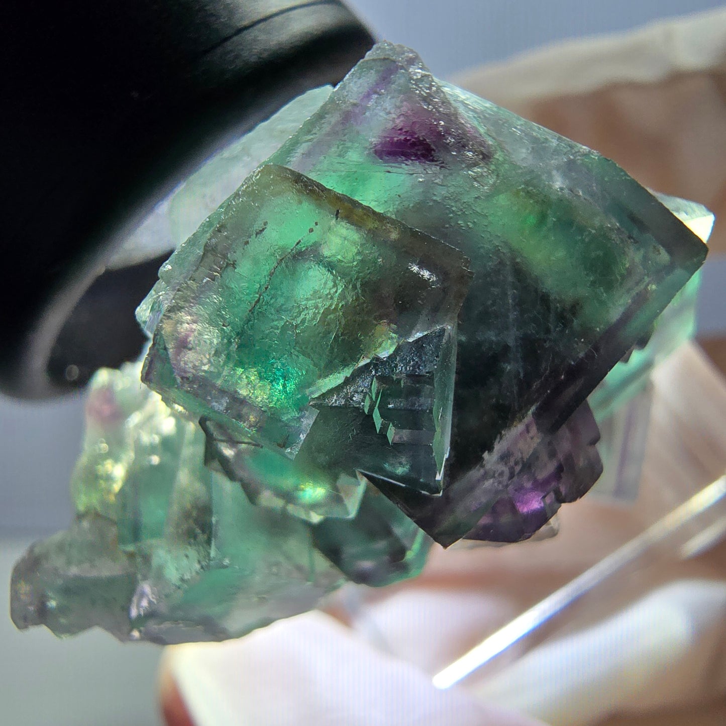 Spécimen rare de cube de fluorite fantôme, vert-violet, Okorusu, Namibie, 37 x 22 x 21 mm 