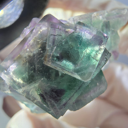 Spécimen rare de cube de fluorite fantôme, vert-violet, Okorusu, Namibie, 37 x 22 x 21 mm 