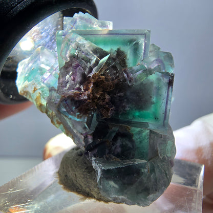 Spécimen rare de cube de fluorite fantôme, vert-violet, Okorusu, Namibie, 37 x 22 x 21 mm 