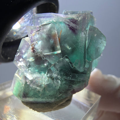 Spécimen rare de cube de fluorite fantôme, vert-violet, Okorusu, Namibie, 37 x 22 x 21 mm 
