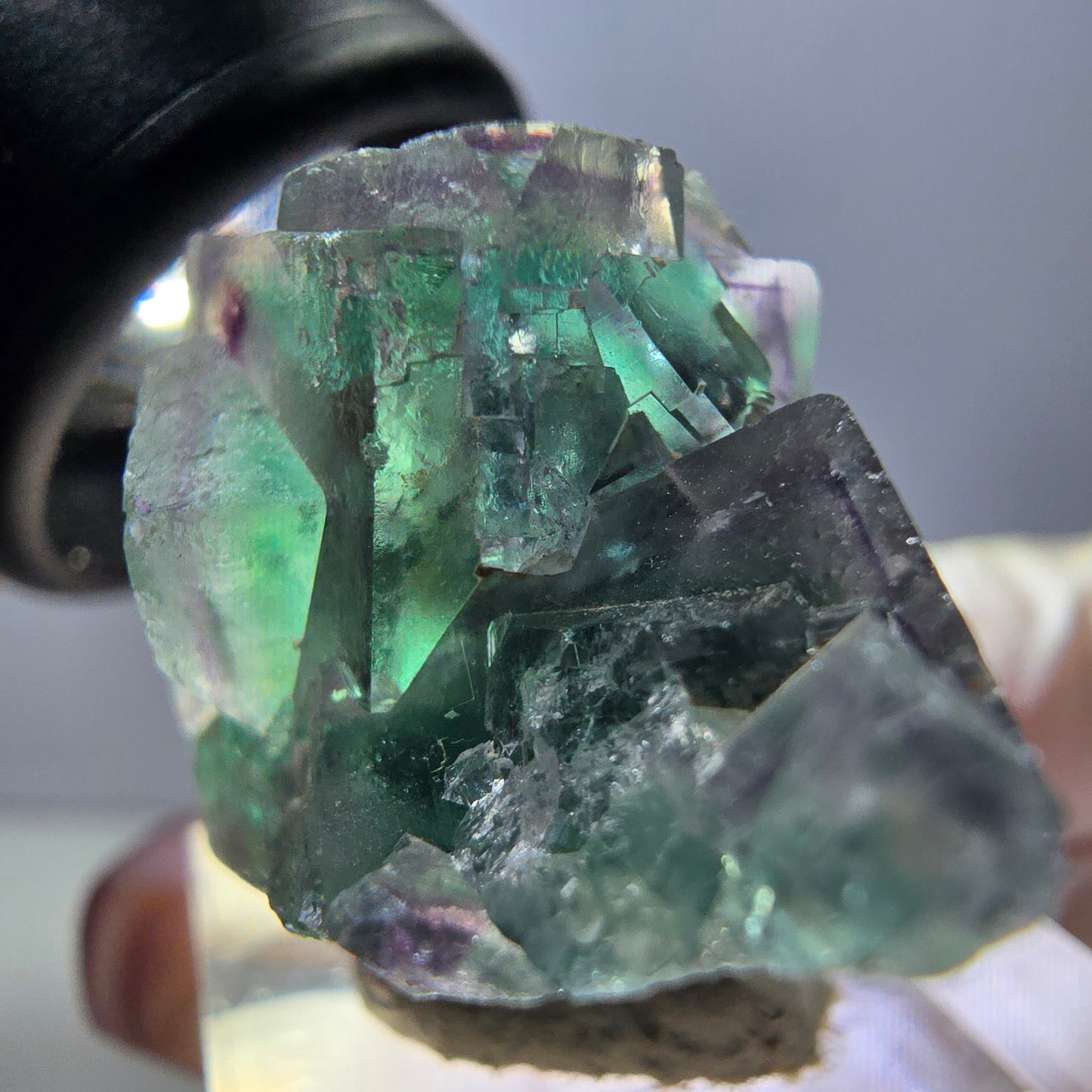 Spécimen rare de cube de fluorite fantôme, vert-violet, Okorusu, Namibie, 37 x 22 x 21 mm 