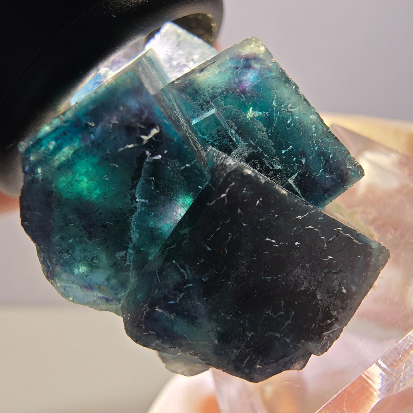 Spécimen de cube de fluorite fantôme, poche papillon bleu-violet Okorusu Namibie 34 x 27 x 22 mm 