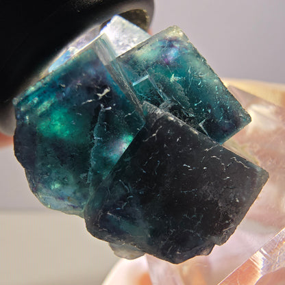 Spécimen de cube de fluorite fantôme, poche papillon bleu-violet Okorusu Namibie 34 x 27 x 22 mm 