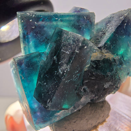 Spécimen de cube de fluorite fantôme, poche papillon bleu-violet Okorusu Namibie 34 x 27 x 22 mm 