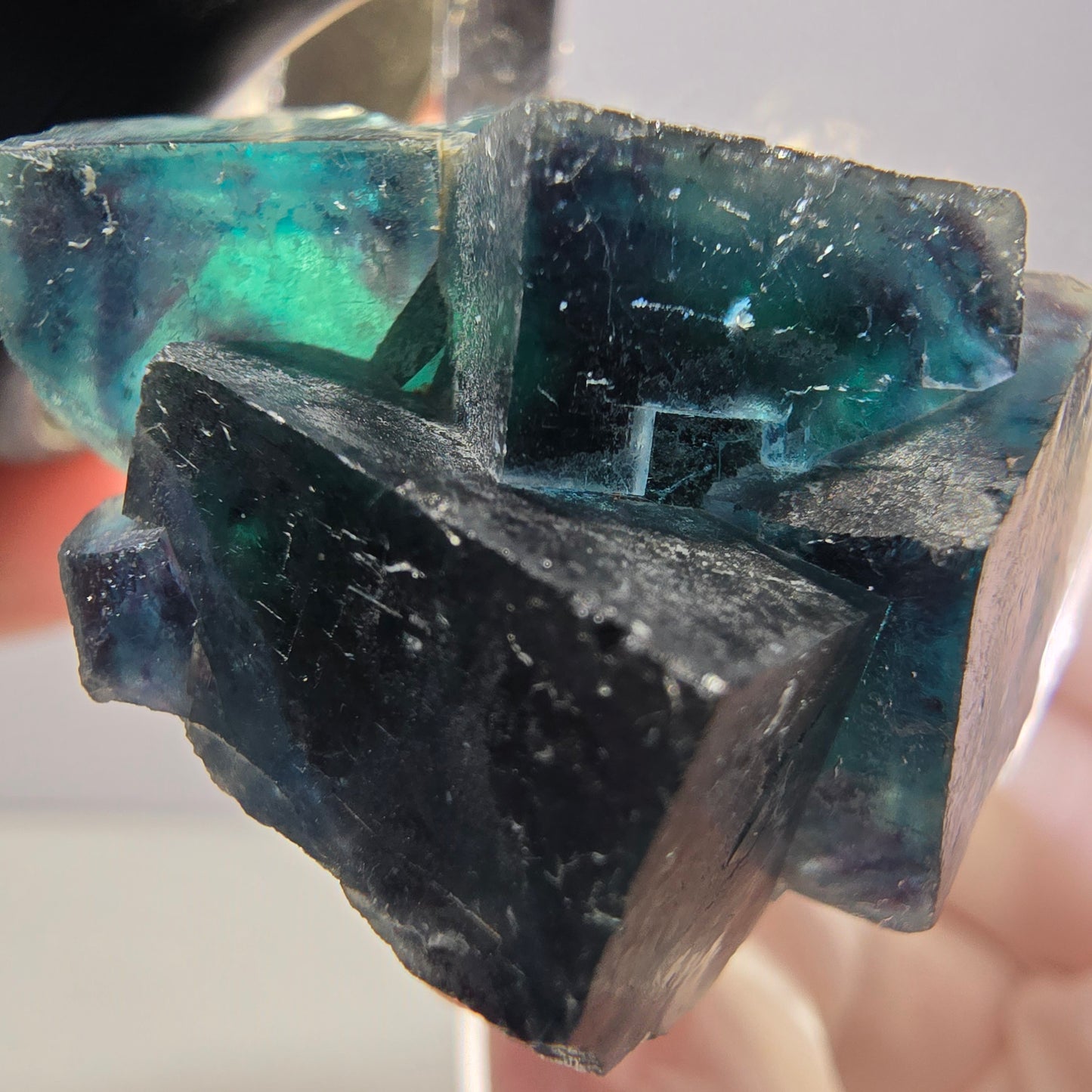 Spécimen de cube de fluorite fantôme, poche papillon bleu-violet Okorusu Namibie 34 x 27 x 22 mm 