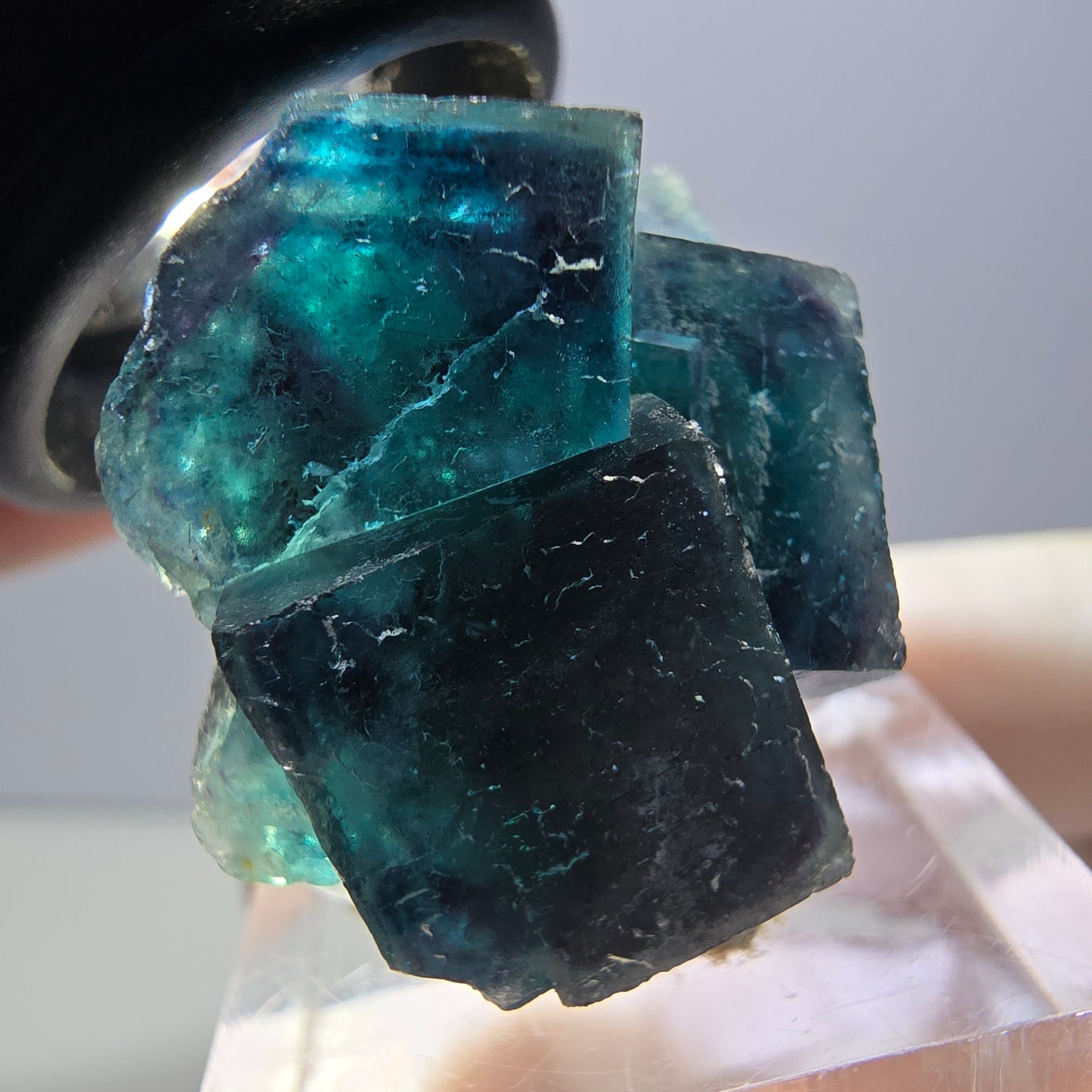 Spécimen de cube de fluorite fantôme, poche papillon bleu-violet Okorusu Namibie 34 x 27 x 22 mm 