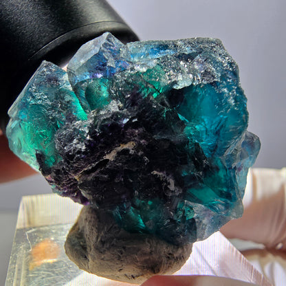 Spécimen de cube de fluorite fantôme, poche papillon bleu-violet Okorusu Namibie 34 x 27 x 22 mm 