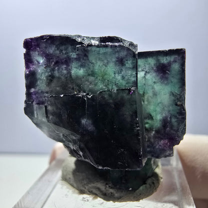 Rare spécimen de cube de fluorite fantôme, vert-violet, Okorusu, Namibie, 24 x 24 x 19 mm 