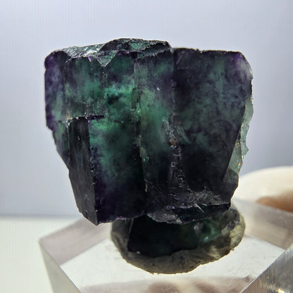 Rare spécimen de cube de fluorite fantôme, vert-violet, Okorusu, Namibie, 24 x 24 x 19 mm 