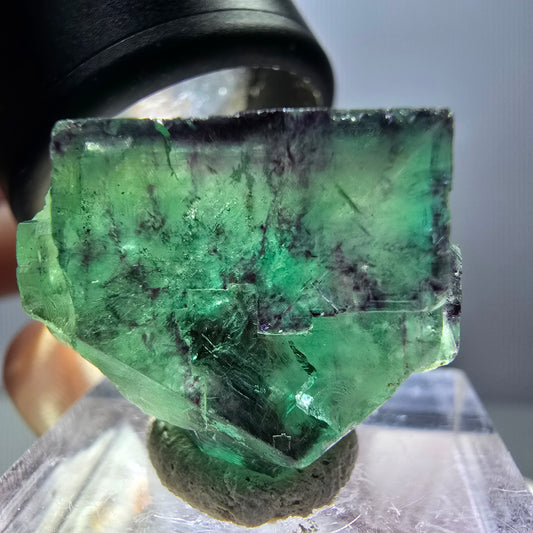 Rare spécimen de cube de fluorite fantôme, vert-violet, Okorusu, Namibie, 24 x 19 x 13 mm 